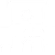escolas